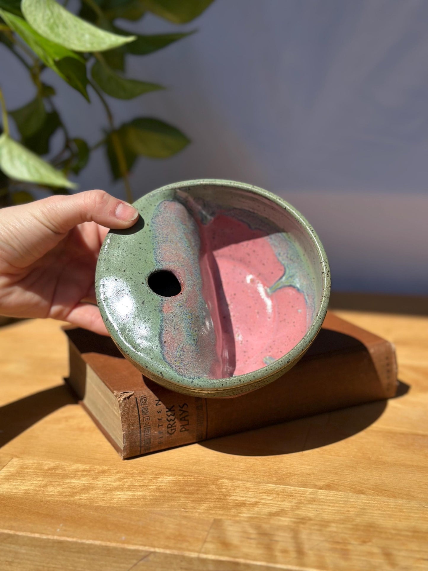 Strawberry Seed Bowl