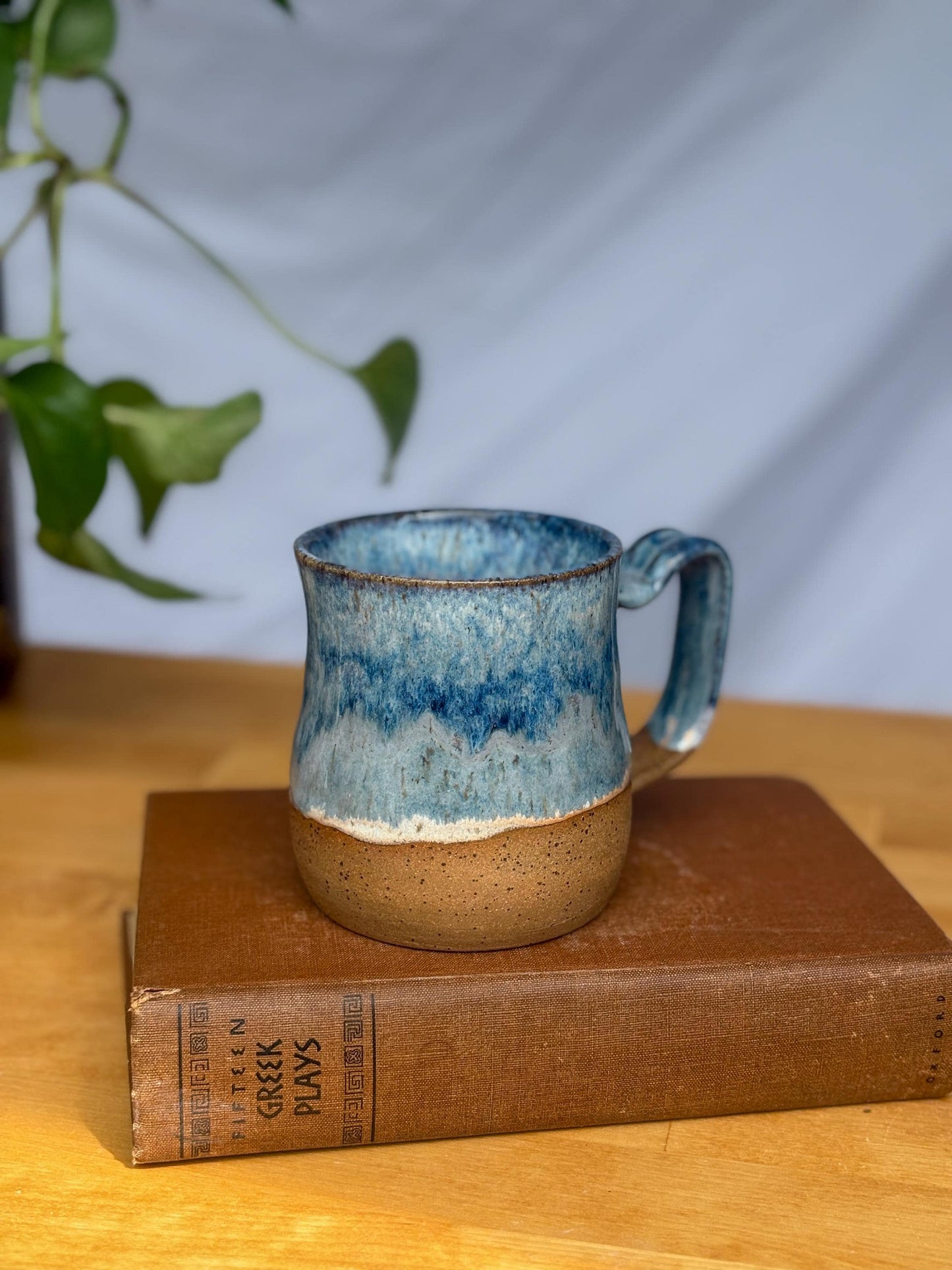 Ocean Waves Mug