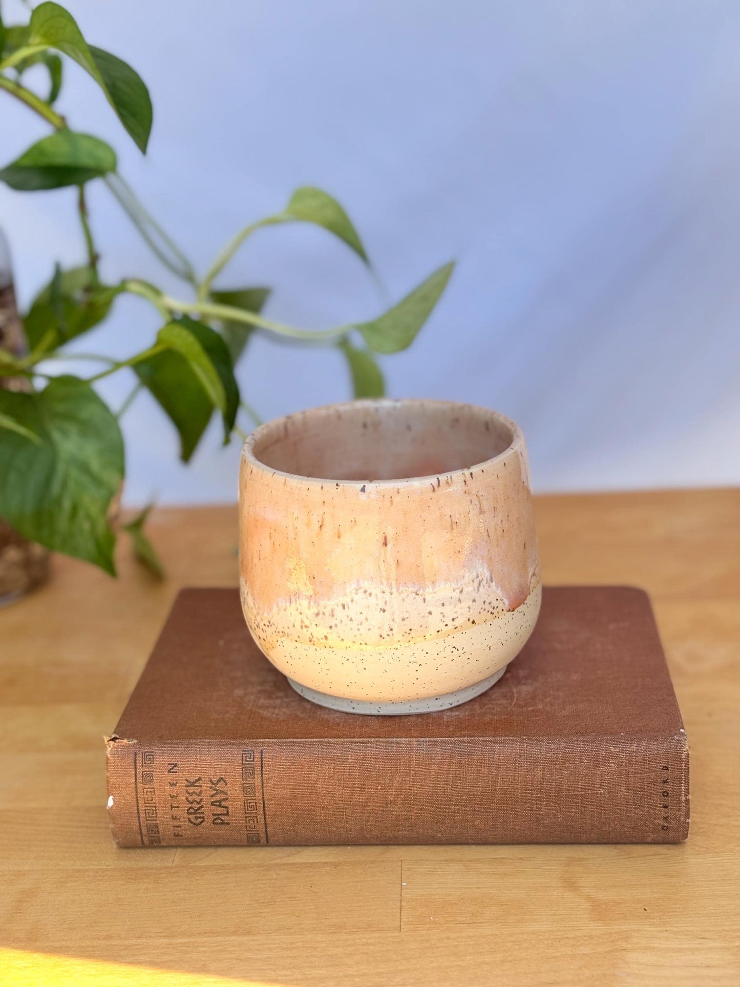 Satin Pink Speckled Ceramic Soup Bowl | Cozy & Versatile Handmade Dinnerware