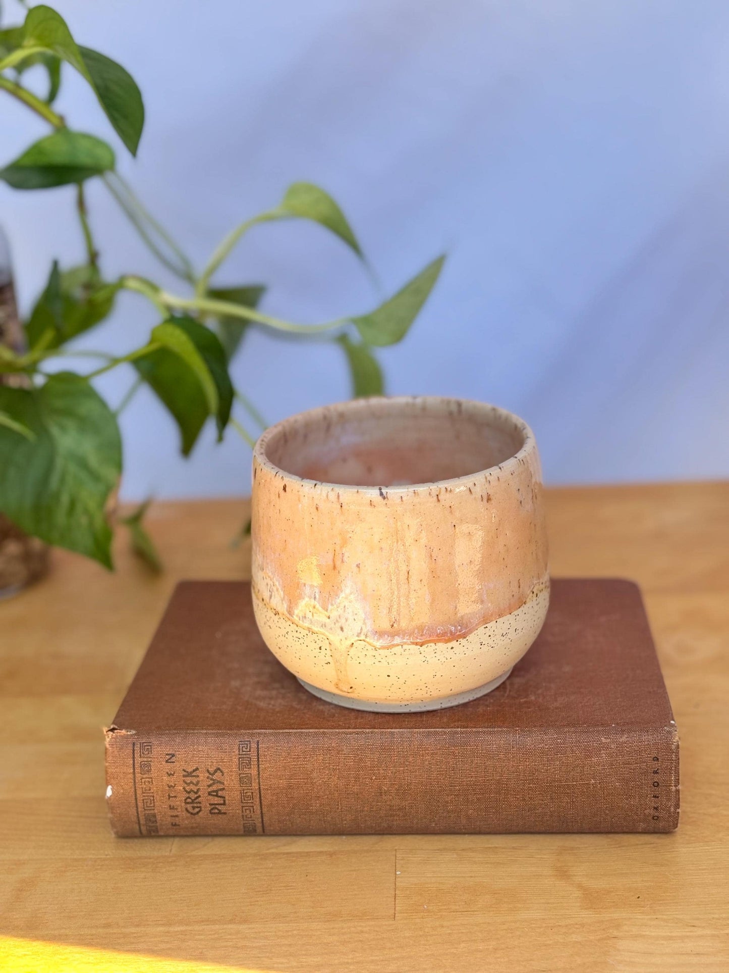 Satin Pink Speckled Ceramic Soup Bowl | Cozy & Versatile Handmade Dinnerware