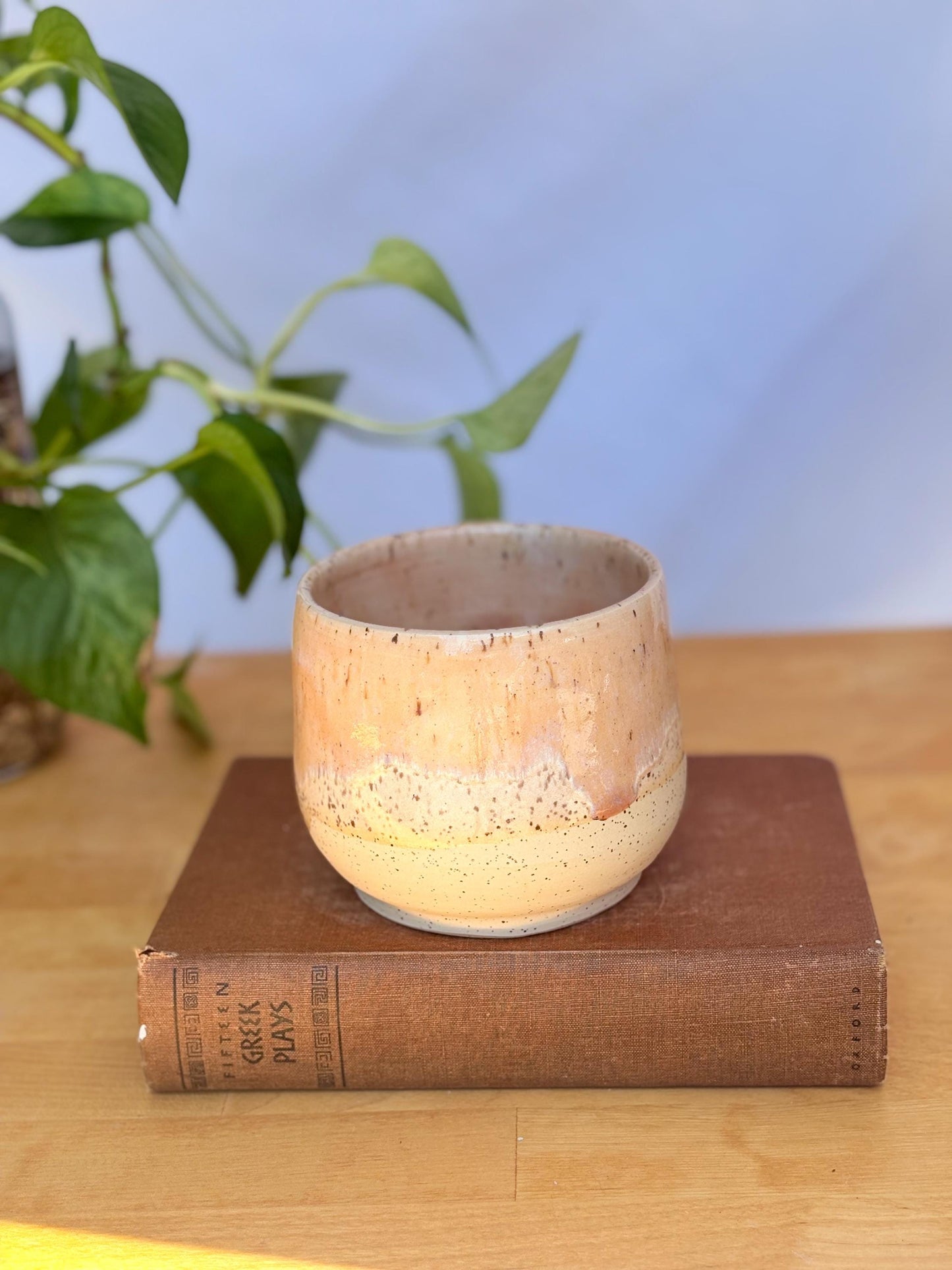 Satin Pink Speckled Ceramic Soup Bowl | Cozy & Versatile Handmade Dinnerware