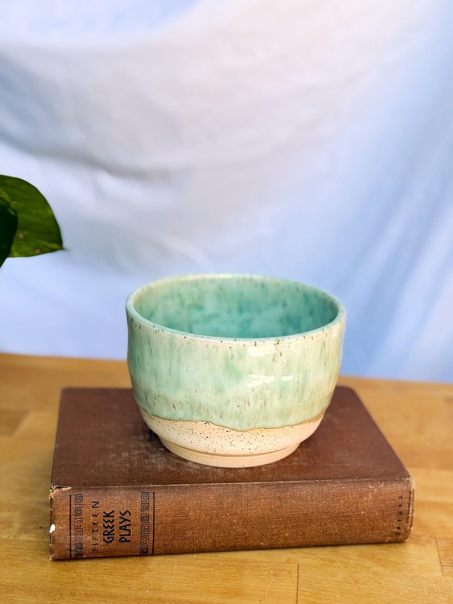 Drippy Ceramic Soup Bowl | Cozy & Versatile Handmade Dinnerware