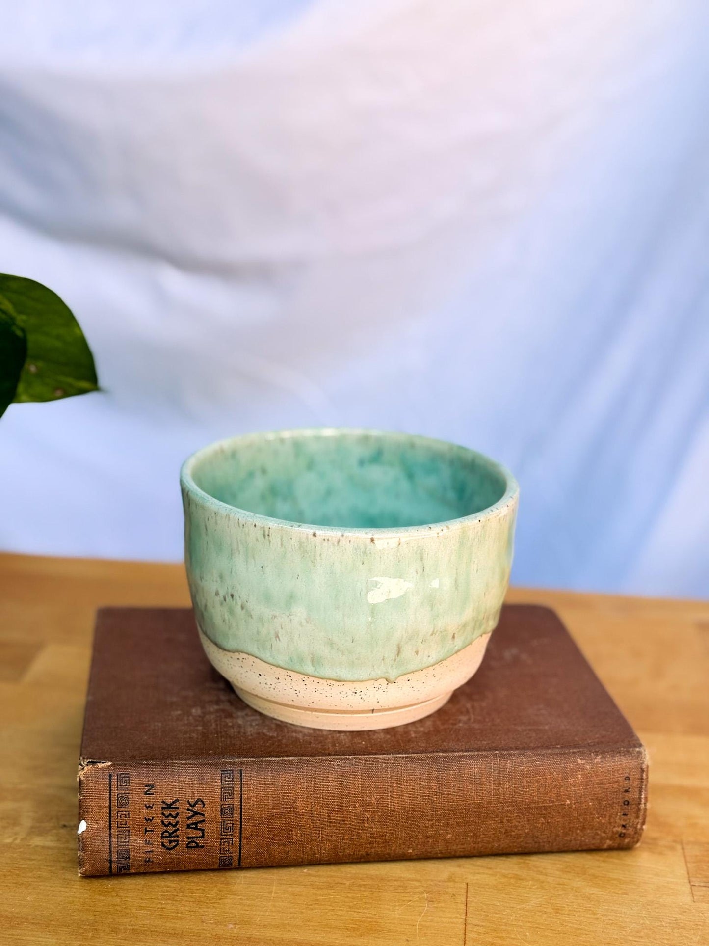 Drippy Ceramic Soup Bowl | Cozy & Versatile Handmade Dinnerware