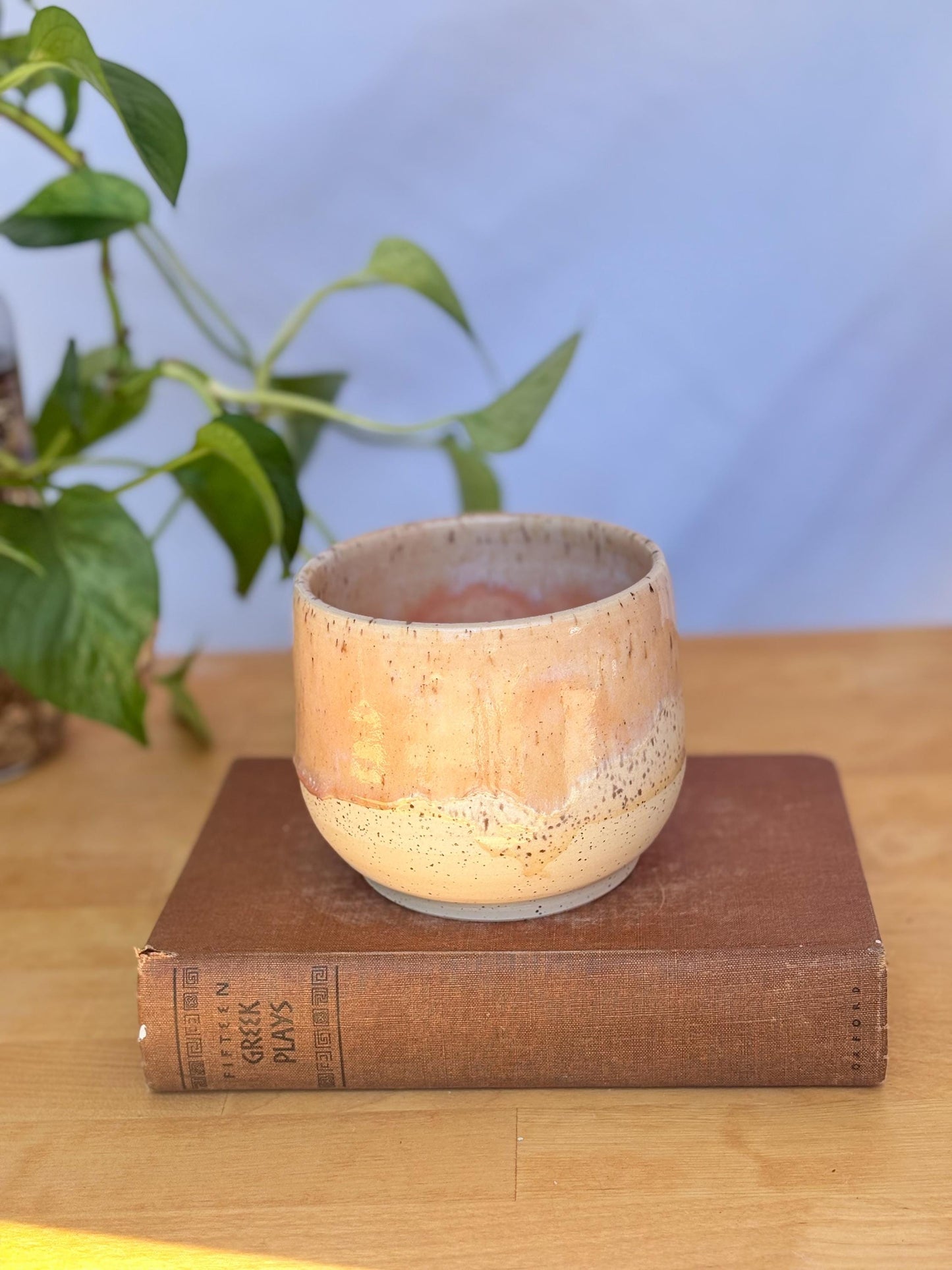 Satin Pink Speckled Ceramic Soup Bowl | Cozy & Versatile Handmade Dinnerware