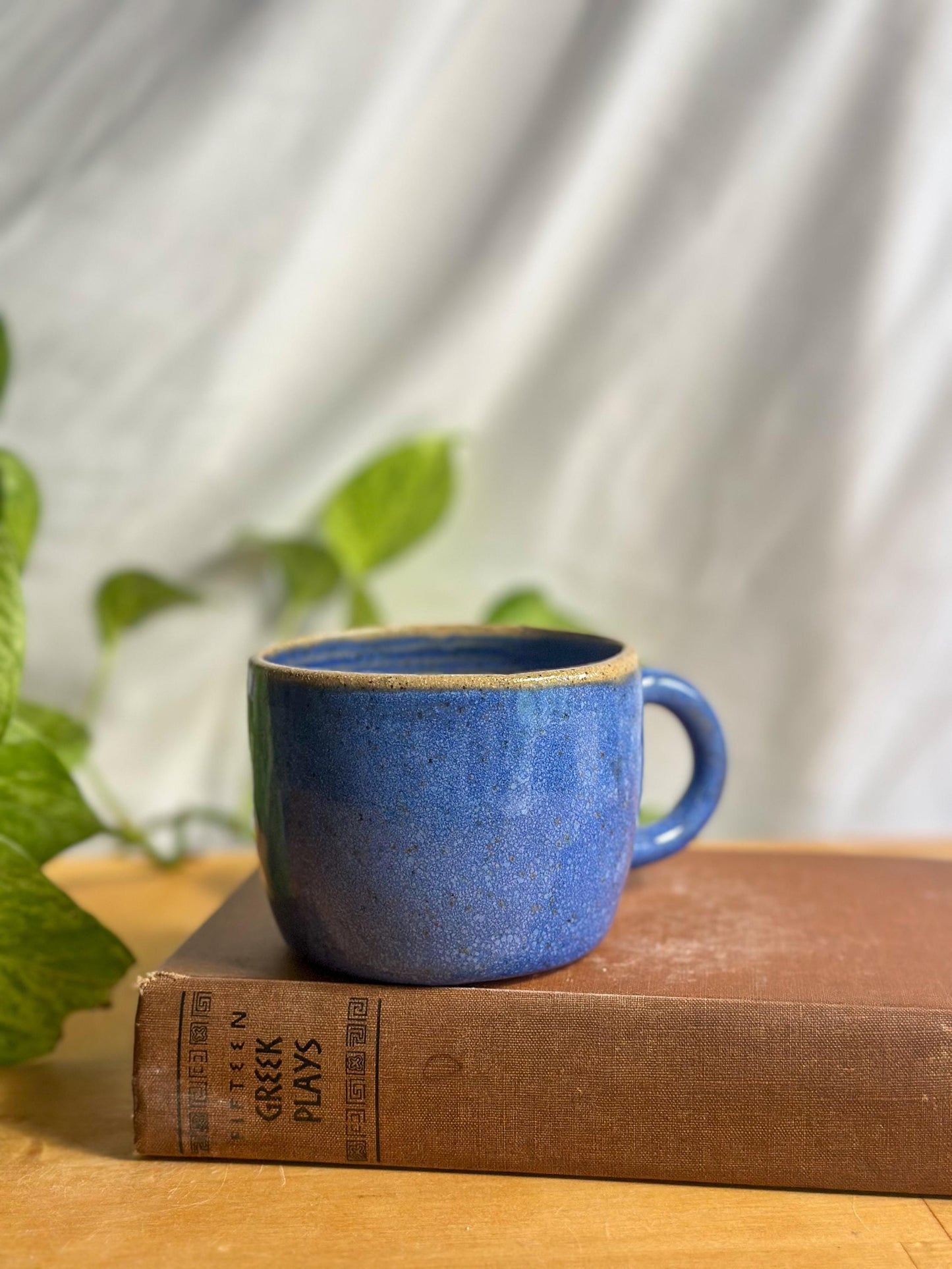 Warm Blue Pottery Mug