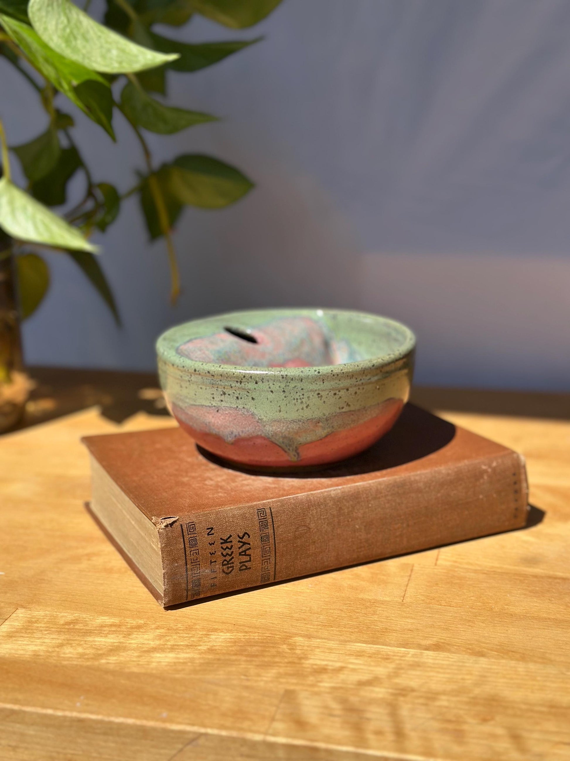 Strawberry Seed Bowl