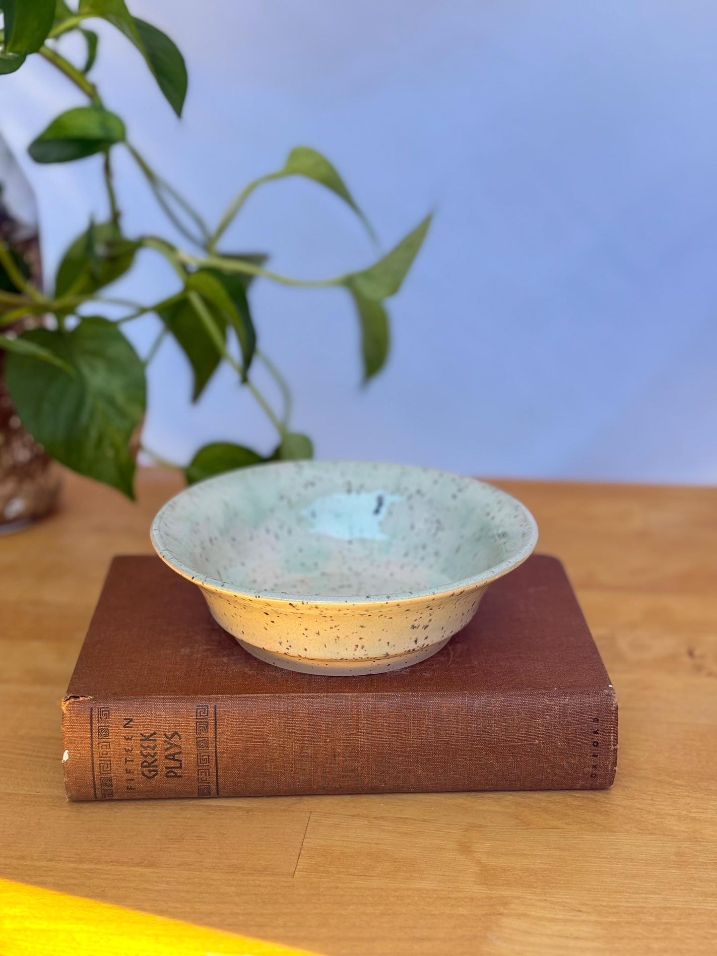 Ceramic Rice Bowl