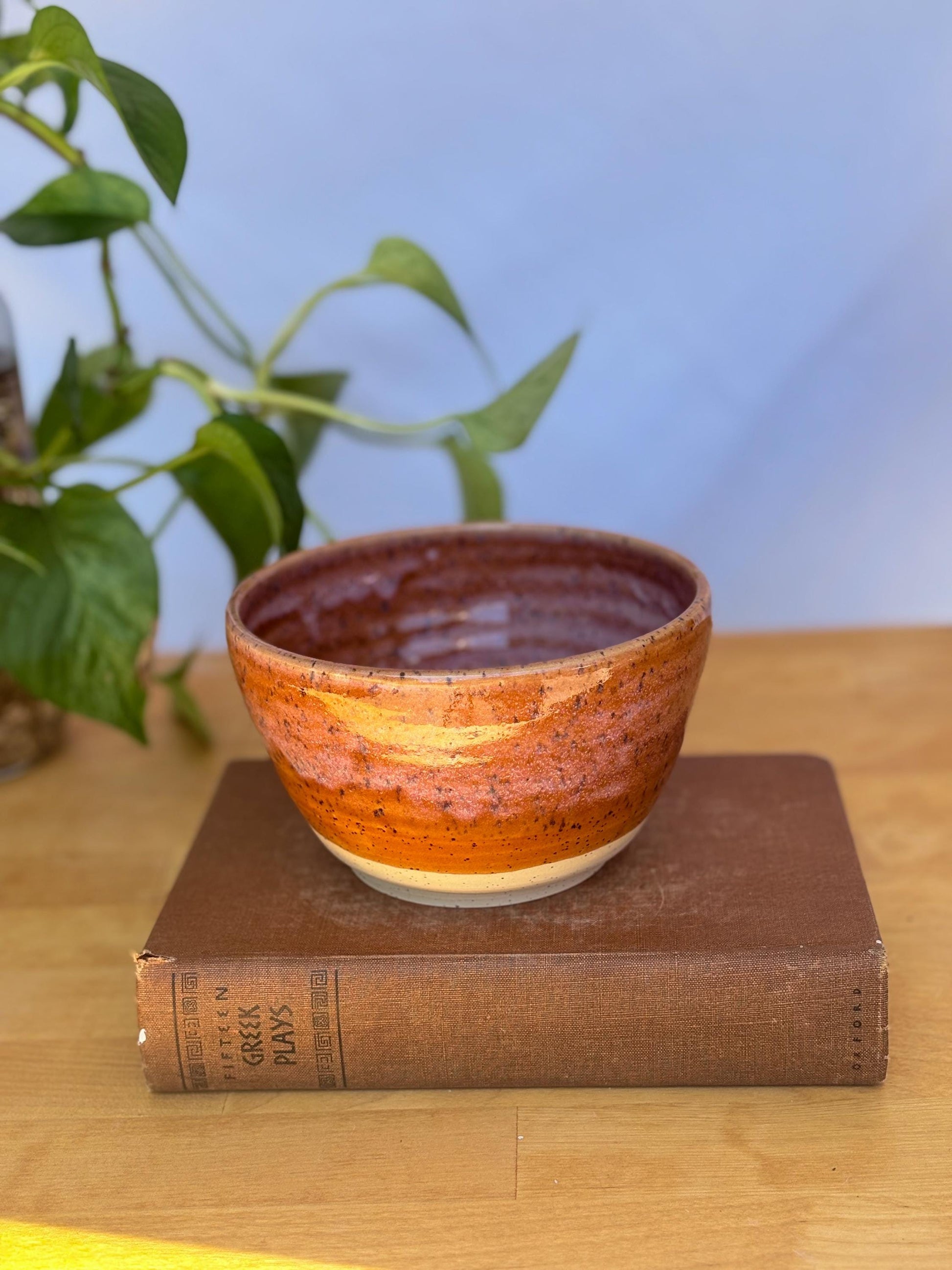 Cinnamon Speckled Ceramic Soup Bowl