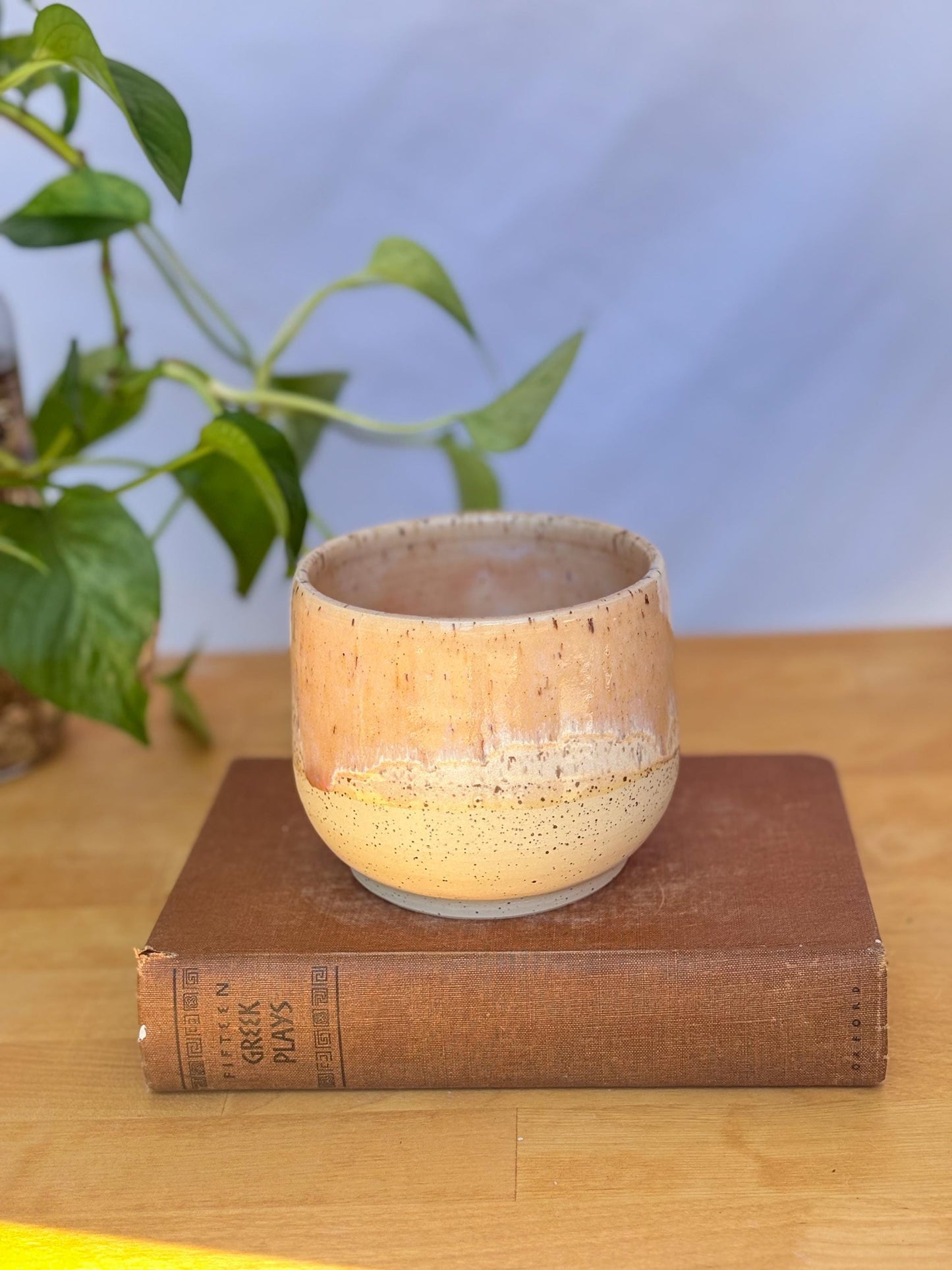 Satin Pink Speckled Ceramic Soup Bowl | Cozy & Versatile Handmade Dinnerware