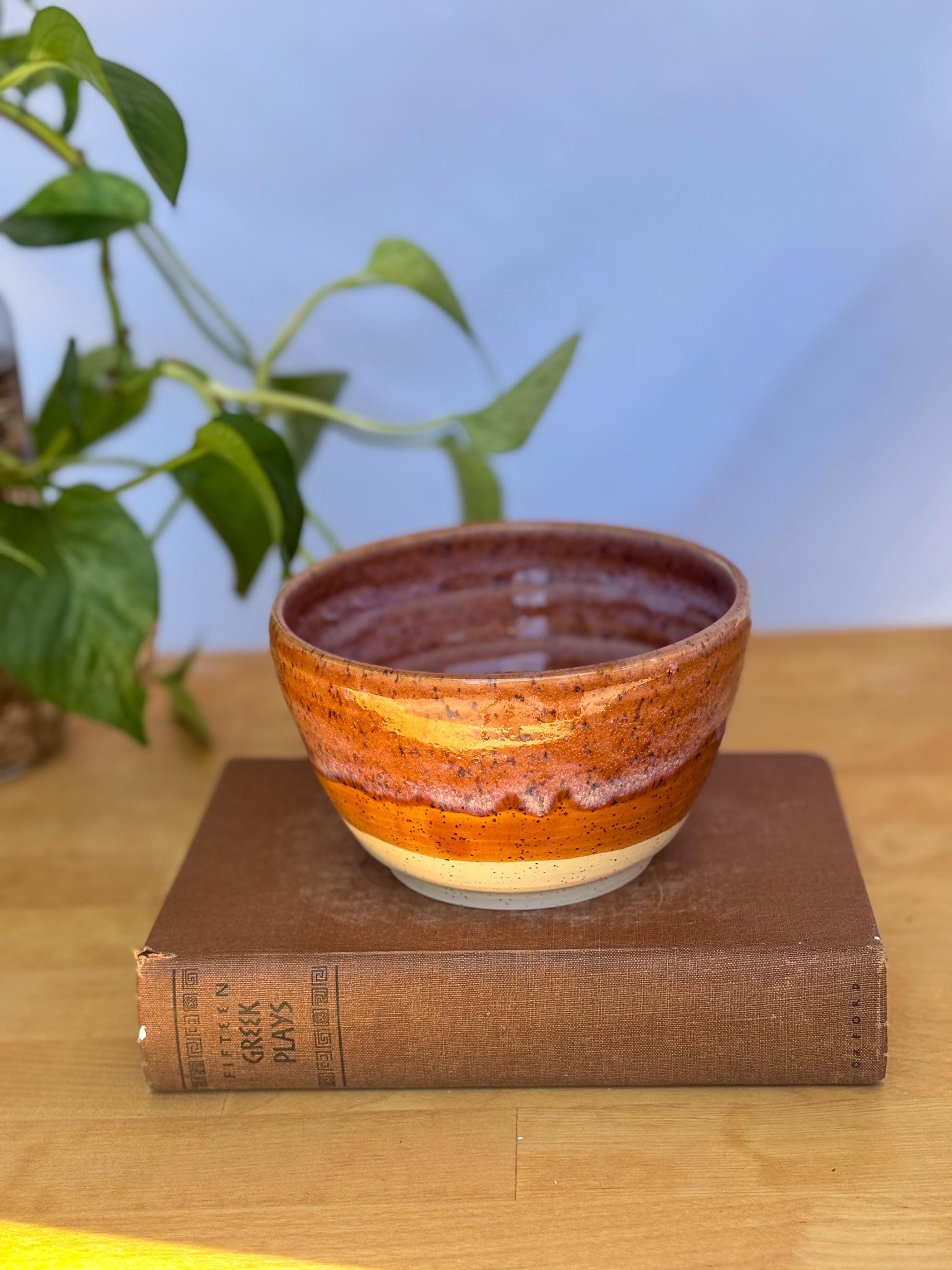 Cinnamon Speckled Ceramic Soup Bowl