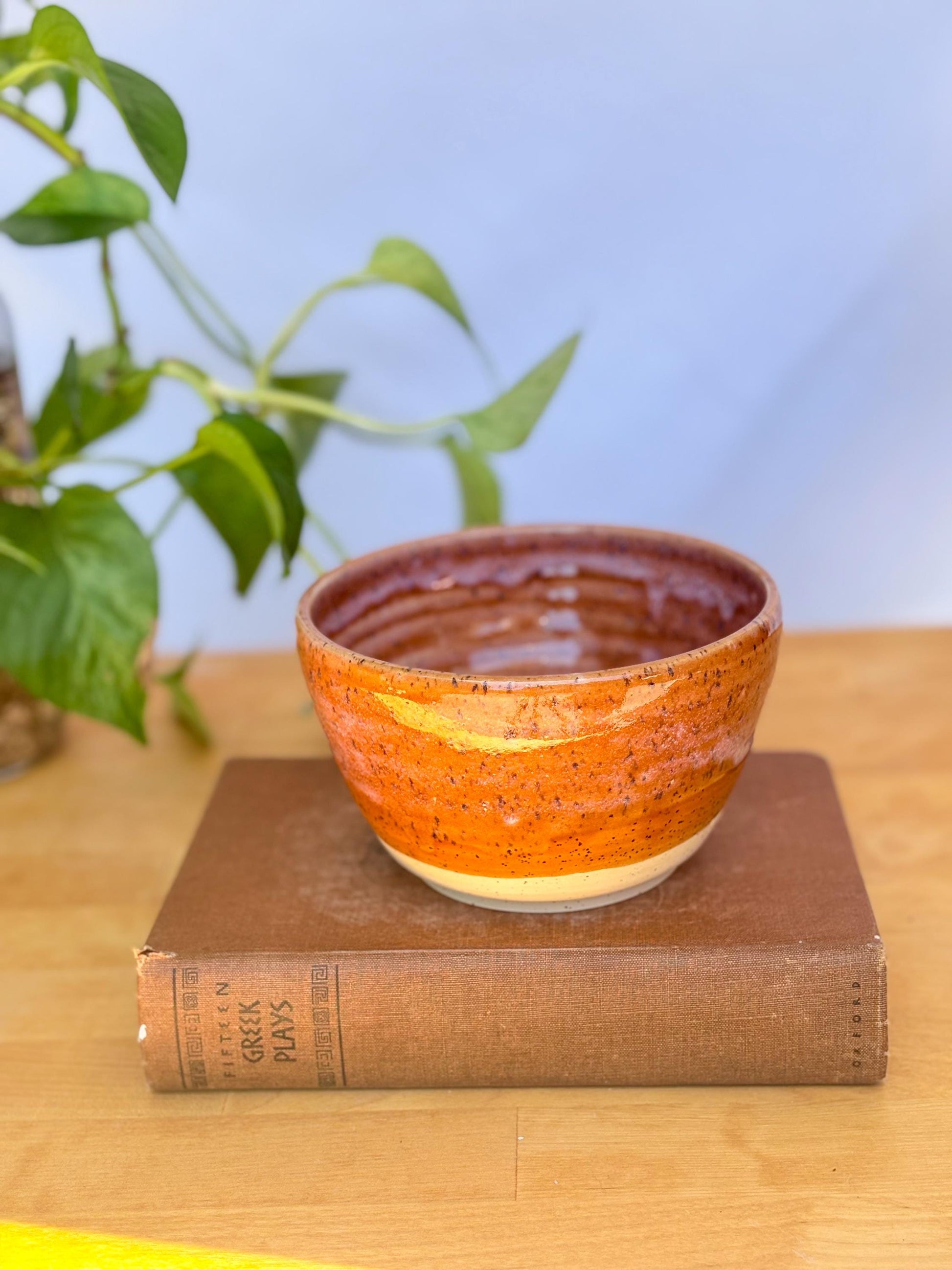 Cinnamon Speckled Ceramic Soup Bowl
