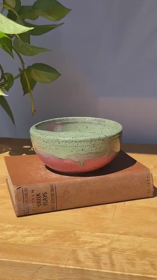 Strawberry Pitted Fruit Seed Bowl